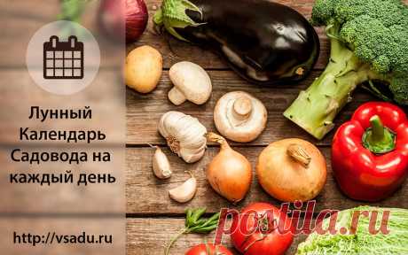 Посевной и лунный календарь на 18 августа 2020 для огородников и садоводов Календарь садовода и огородника, лунный календарь цветовода, народные приметы, календарь ремонтных и строительных работ по даче и хозяйству 18 августа 2020