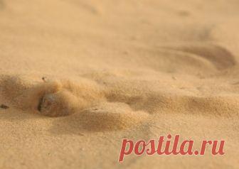 Круговорот Ушастой круглоголовки в природе — National Geographic Россия Ушастая круглоголовка  закапывается в землю за несколько секунд. Её движения настолько стремительны, что кажется, будто она проходит прямо сквозь песок, как нож сквозь масло.