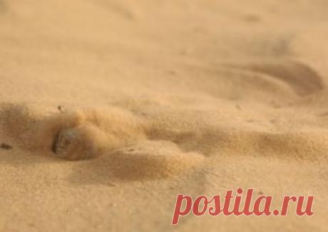 Круговорот Ушастой круглоголовки в природе — National Geographic Россия Ушастая круглоголовка  закапывается в землю за несколько секунд. Её движения настолько стремительны, что кажется, будто она проходит прямо сквозь песок, как нож сквозь масло.