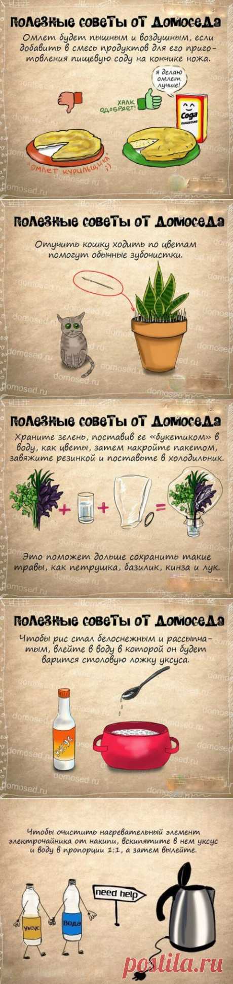 Супер полезные советы - Болтай