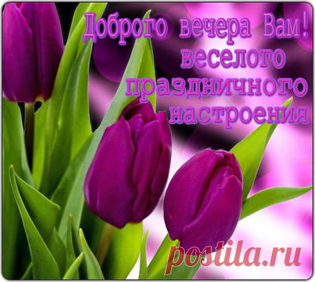 ДОБРЫЙ ВЕЧЕР !!! ПРИЯТНОГО ОТДЫХА!!!