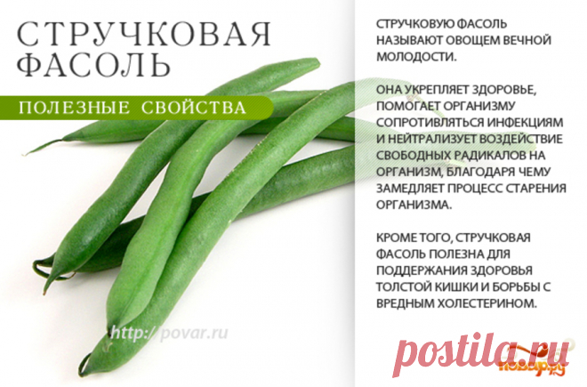 Стручковая фасоль полезные свойства