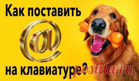 Как поставить знак собака на клавиатуре – 5 методов для новичков и профи.