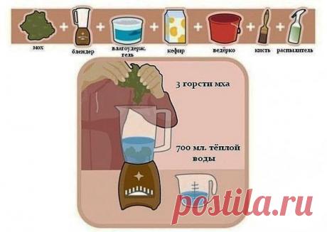 Вау! Как интересно!.