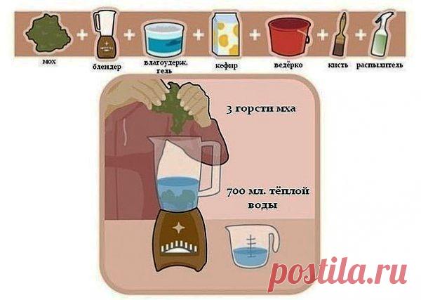 Вау! Как интересно!.