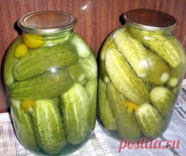 Огурцы «Индийские».