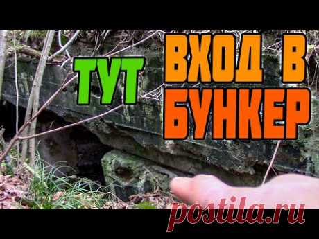 Фантастический бункер во время прогулки по лесу | Финал картины ЗУБР - Художник в деревне