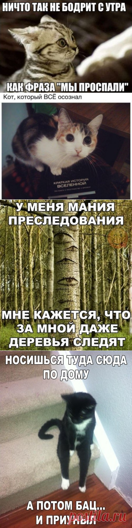 Прикольные фотомемы (33 шт)