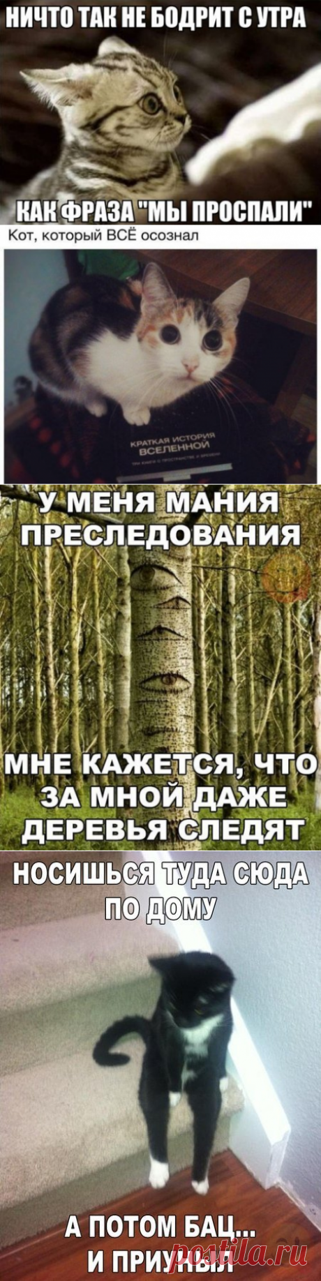 Прикольные фотомемы (33 шт)