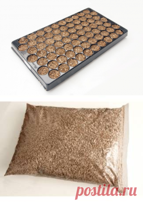 Zaaitrays kweekplaten zaaibakken stekbakken Vermiculite : Tuinhuisjes, Blokhutten en Kassen || Geplaatst op Jan, 19, 2017, 11:14 am