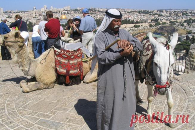 Описанные в Библии события оказались вымышленными