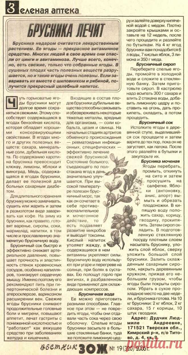 Брусника лечит