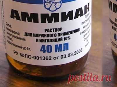 Дайте нашатырь! 6 удивительных свойств доступного и простого средства