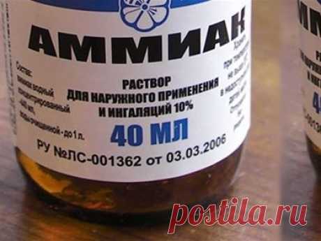 Дайте нашатырь! 6 удивительных свойств доступного и простого средства
