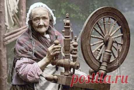 Слова мудрой ведьмы