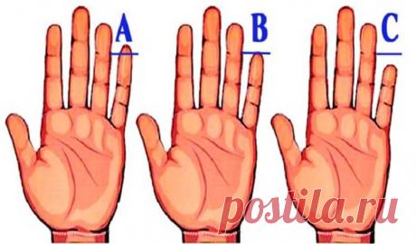 Ваш мизинец — кладезь секретной информации о характере!
