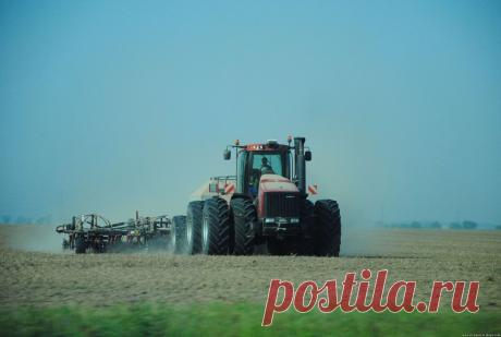 Производители кукурузы теперь могут страховать ее на льготных условиях - 11 Февраля 2017 - Рекламно-информационный портал «Прораб Днепропетровщины