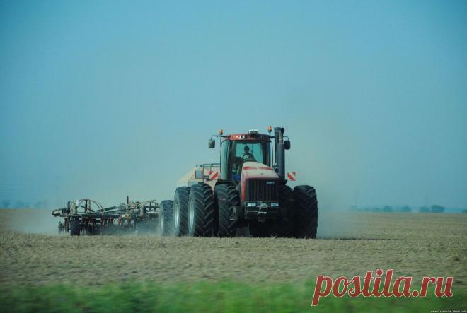 Производители кукурузы теперь могут страховать ее на льготных условиях - 11 Февраля 2017 - Рекламно-информационный портал «Прораб Днепропетровщины