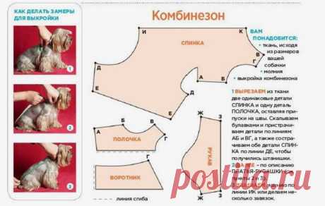 Одежда для собак своими руками, выкройки которой подойдут для вашего питомца – не только нарядная и модная, но защитит в ненастную погоду. Узнайте все моделировании и пошиве нарядов для братьев наших меньших с фото и мастер-классами.