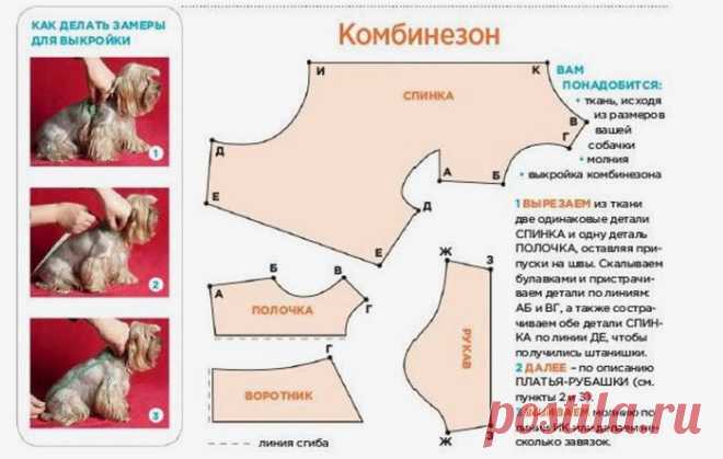 Одежда для собак своими руками, выкройки которой подойдут для вашего питомца – не только нарядная и модная, но защитит в ненастную погоду. Узнайте все моделировании и пошиве нарядов для братьев наших меньших с фото и мастер-классами.