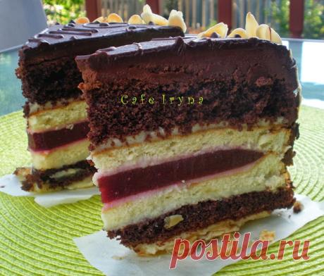 Сafe Iryna: Многослойный торт от МИШЕЛЬ.