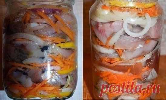 Селёдка по-голландски.