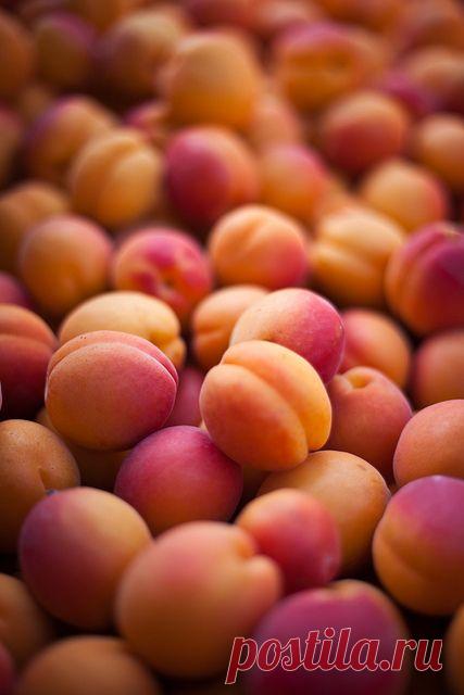 абрикосы
