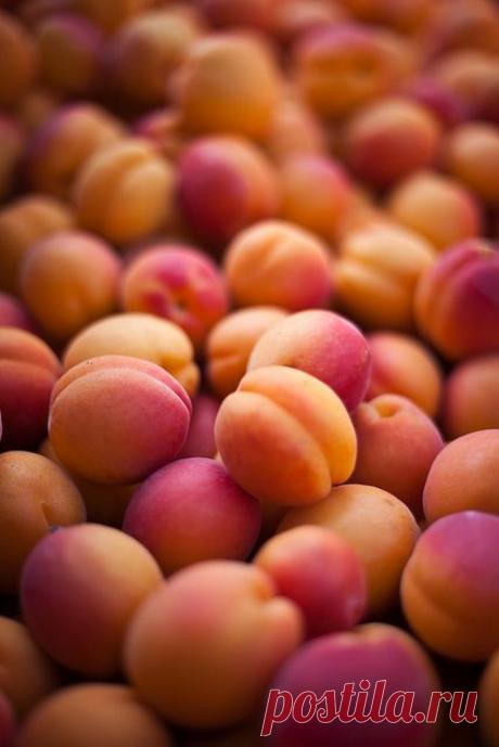 абрикосы