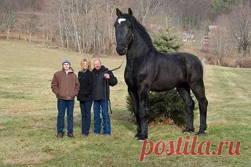 Одноклассники