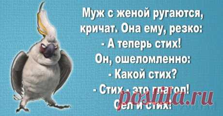 20 ярких женских шуток, которые поднимут настроение на весь день Мужчины любя шутить над женской логикой, женской неспособностью водить автомобиль и особенно над красотками-блондинками. Но и дамы не остаются в стороне — они тоже вполне способны достойно ответить ра...