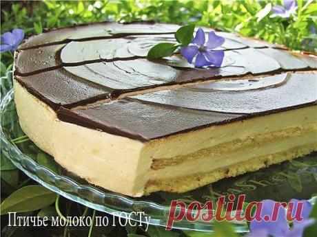 Рецепт - Торт Птичье молоко по ГОСТу (на агар-агаре) из кинофильма «Школьный вальс» » КУЛИНАРНЫЕ РЕЦЕПТЫ 2013! Рецепты для каждого. Вкусные рецепты салатов и закусок. Вкусные рецепты с фото на любой вкус!