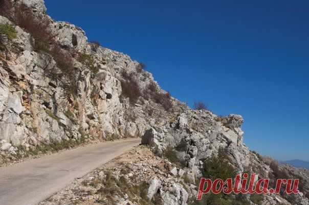 Momir Matkovic - Momir Matkovics Fotos | Facebook
