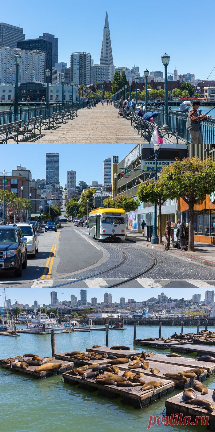 Это Сан-Франциско – город в стиле диско...