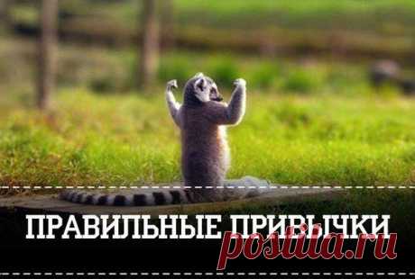 Лента Сергея Мишина