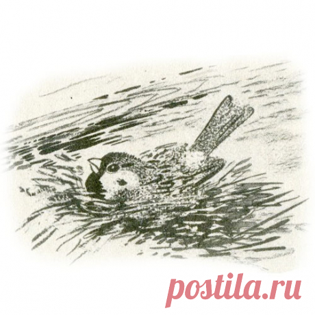 КРАСНАЯ ГОРКА