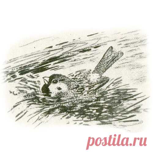 КРАСНАЯ ГОРКА