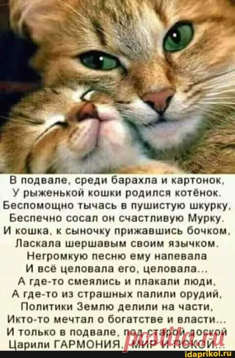 Мем-картинка DLXRtU099 от onlinekinofxrubirb: 40 комментариев - ) / АйДаПрикол .)