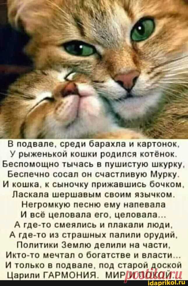 Мем-картинка DLXRtU099 от onlinekinofxrubirb: 40 комментариев - ) / АйДаПрикол .)