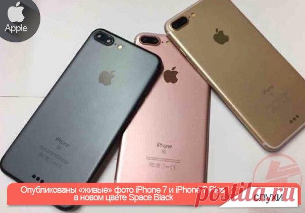 Опубликованы «живые» фото iPhone 7 и iPhone 7 Plus в новом цвете Space Black На сайте китайской сети микроблогов Weibo опубликована очередная утечка, демонстрирующая новые смартфоны iPhone 7 и iPhone 7 Plus. На этот раз речь идет о моделях в цветовом варианте «Space Black». Ранее он упоминался в нескольких инсайдах, однако точного подтверждения, что Apple действительно утвердила этот оттенок, не приводилось. В начале лета появилась первая информация о том, что купертиновцы решили сделать цвет…