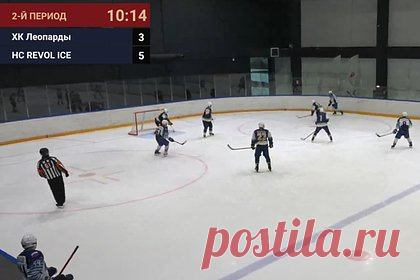 Российский хоккеист избил судью во время матча. Российский хоккеист избил судью во время матча между московскими командами «Леопарды» и НС REVOL ICE любительской лиги «Трудовые Резервы». Арбитр удалил игрока «Леопардов» на десятой минуте второго периода при счете 5:3 в пользу НС REVOL ICE. Спортсмен направился на скамейку, но затем подъехал к рефери и ударил его.