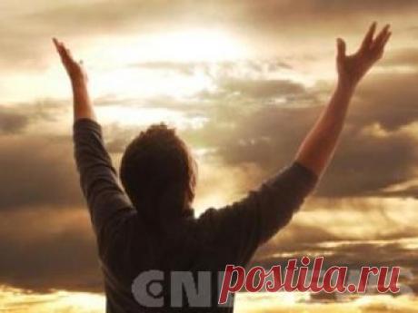 Как хорошо уметь ходить... (Светлана Пожиган) / Стихи.ру - национальный сервер современной поэзии