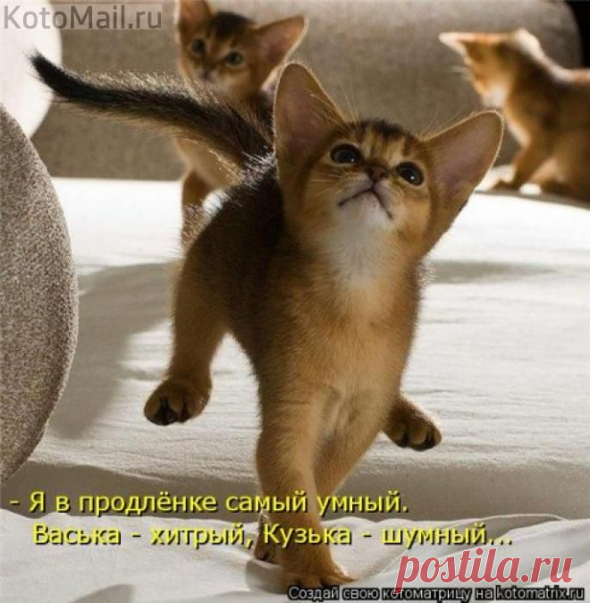 Продлёнка))) | KotoMail.ru