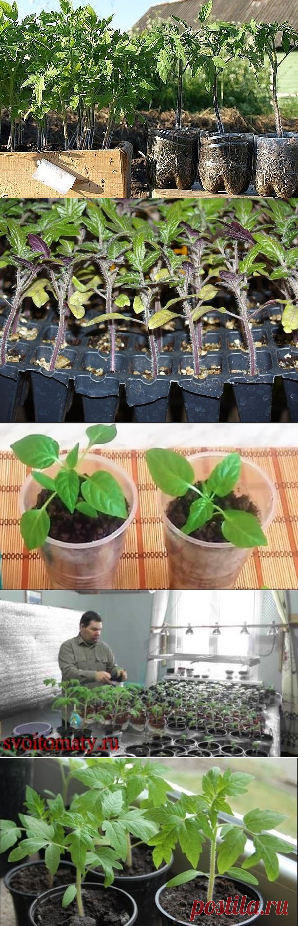 Одноклассники
