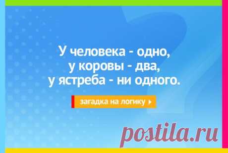 У человека одно, у коровы два, у ястреба ни одного - Загадка