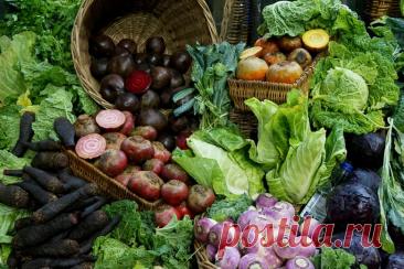 Овощ, снижающий воспаление в организме