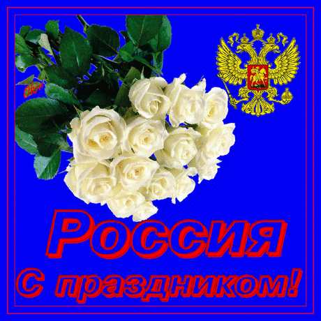 1939805.gif (800×800)