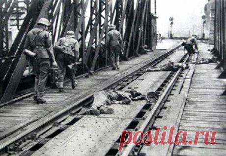 Во время Второй мировой войны на гранийцарией был мост / История цивилизаций!