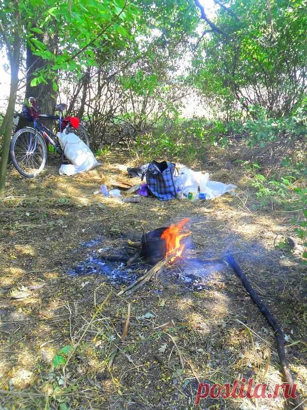 В пути велосипедном, дороги Кубани - 31 Октября 2015 - Персональный сайт