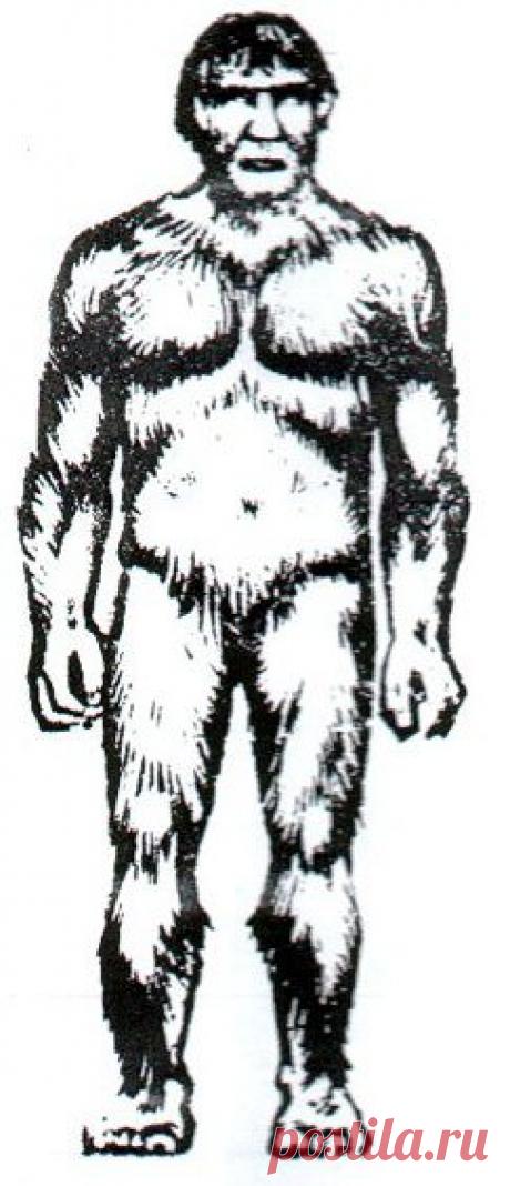 Рассказ полковника Карапетяна