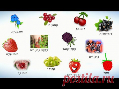 Ягоды на иврите. Учим названия ягод на иврите - YouTube